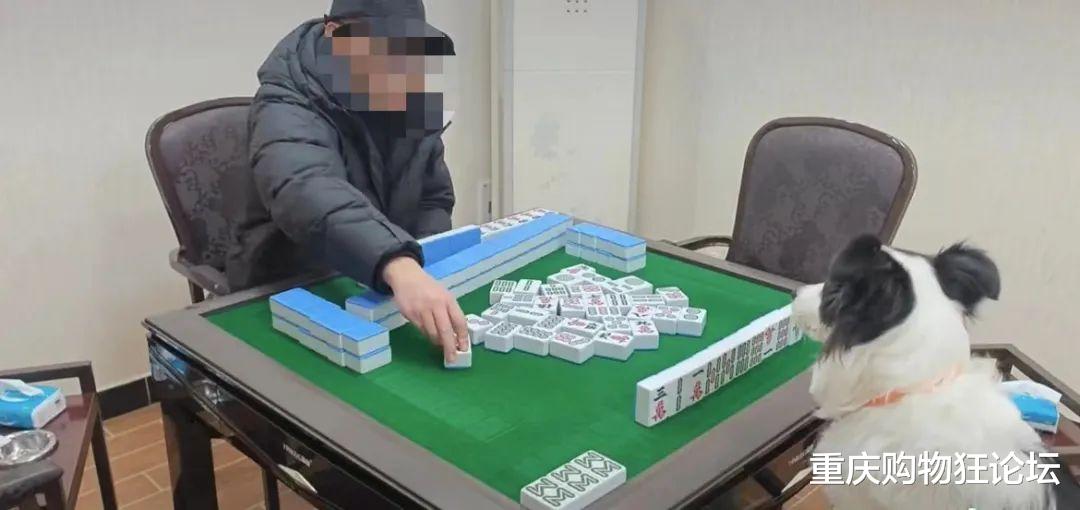 厉害了!四川巴蜀麻将到底有没有卦用挂”详细教程辅助工具