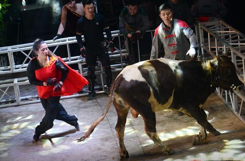 (2分钟介绍)“斗牛来了开挂!其实确实有挂