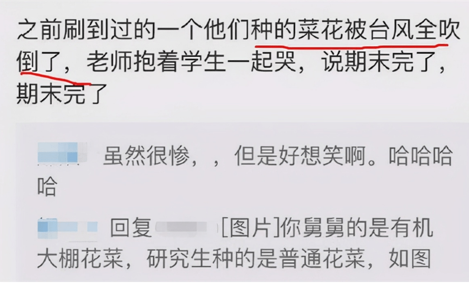 分享决窍“微乐陕西三代为什么经常输!其实确实有挂