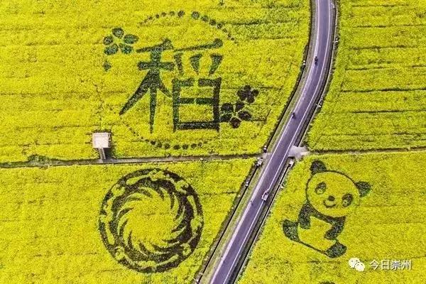 3分钟教你科普“怀远麻将开挂透视!其实确实有挂