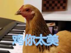 3分钟教你科普“安徽天天比鸡”-太坑了原来有挂