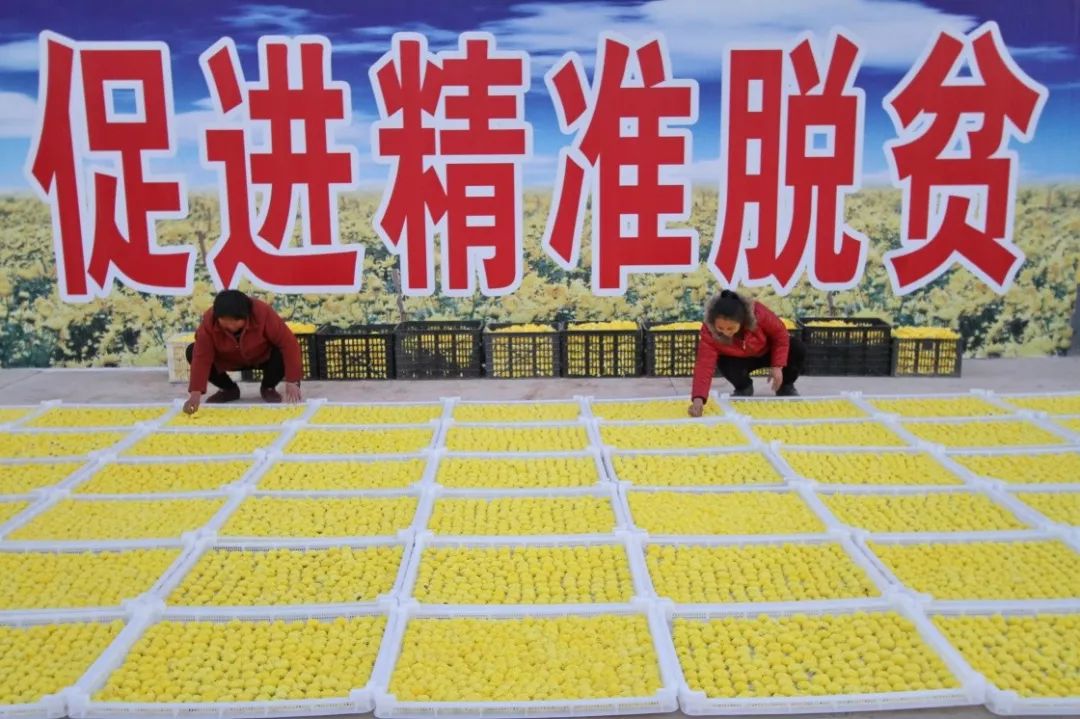 三分钟了解！陕西奇迹麻将确实有挂的(输赢有规律)