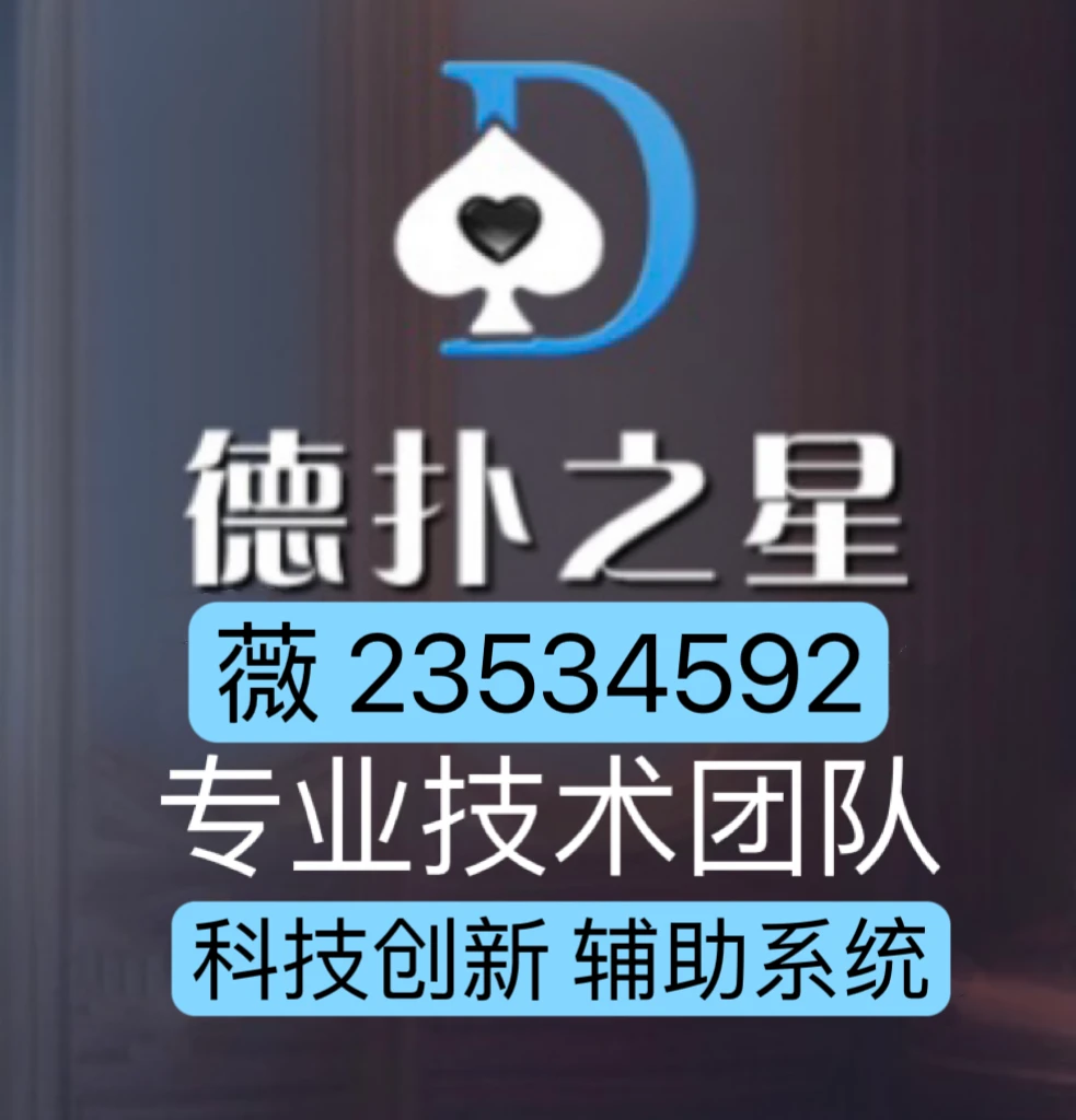 玩家必备教程山水麻将开挂神器-哔哩哔哩 
