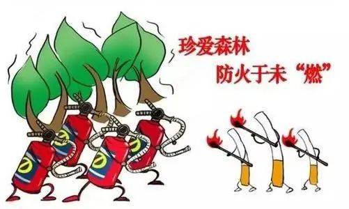 厉害了！白金岛放炮罚确实有挂的(有什么规律吗)