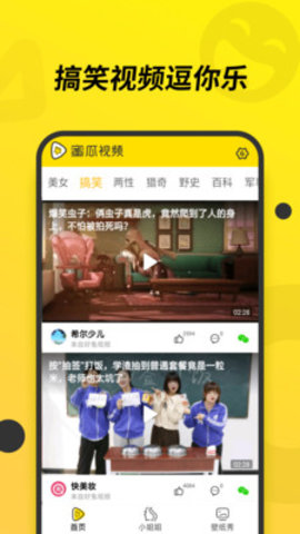 蜜瓜大厅透视软件（蜜瓜直播官网）